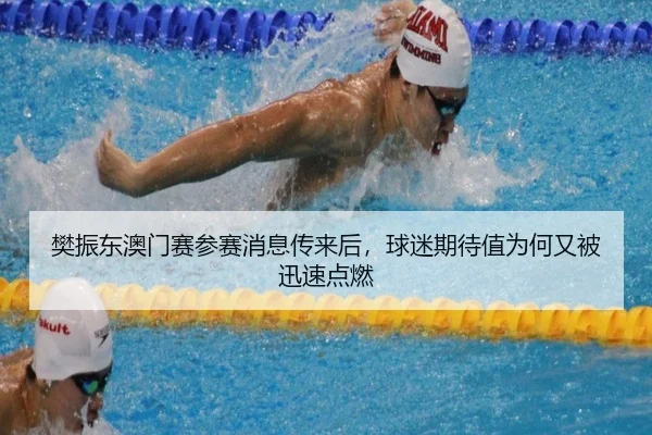 樊振东澳门赛参赛消息传来后，球迷期待值为何又被迅速点燃